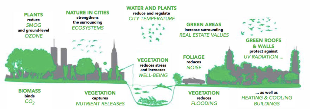 urban-ecosystem-services-c-o-city